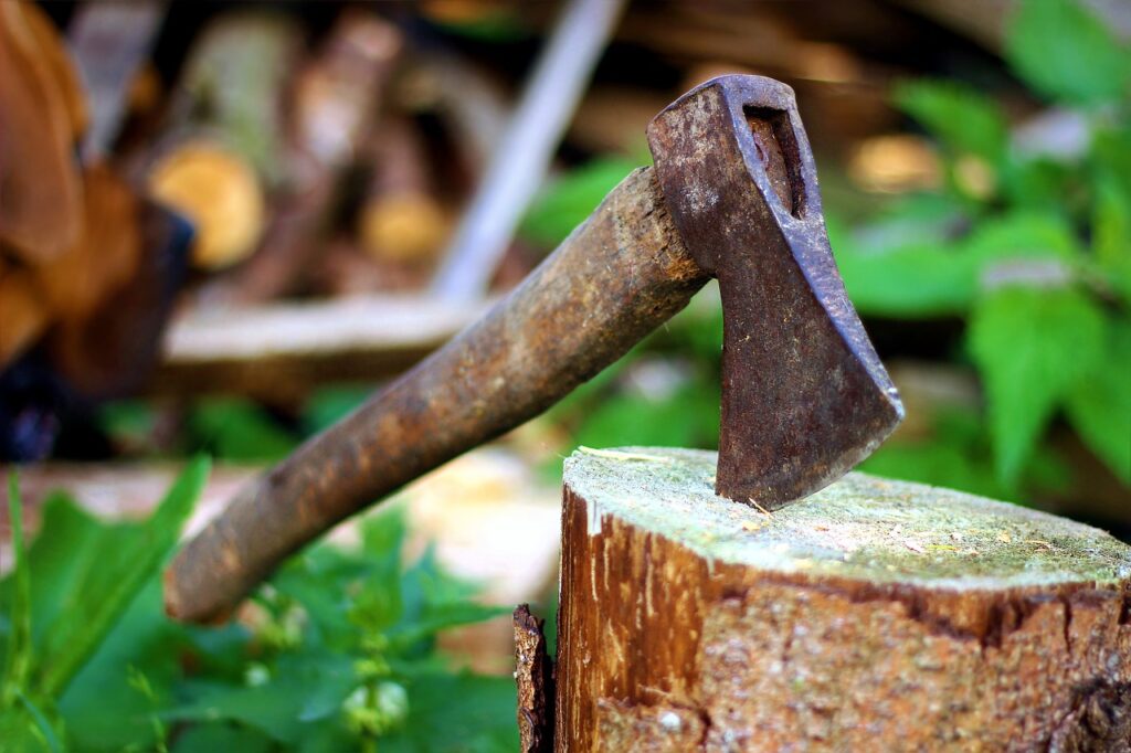 axe on a tree stump
