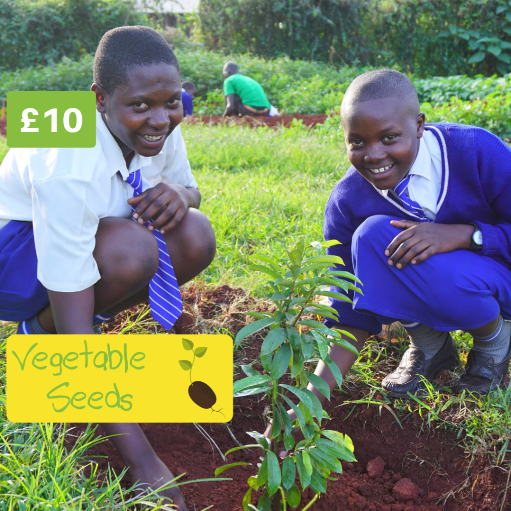 See how your gift can make a difference to a child in Uganda