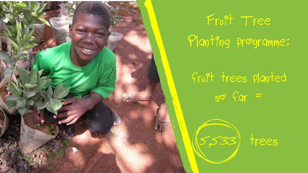 Fruit Tree Planting Programme: fruit trees planted so far = 5,533 trees