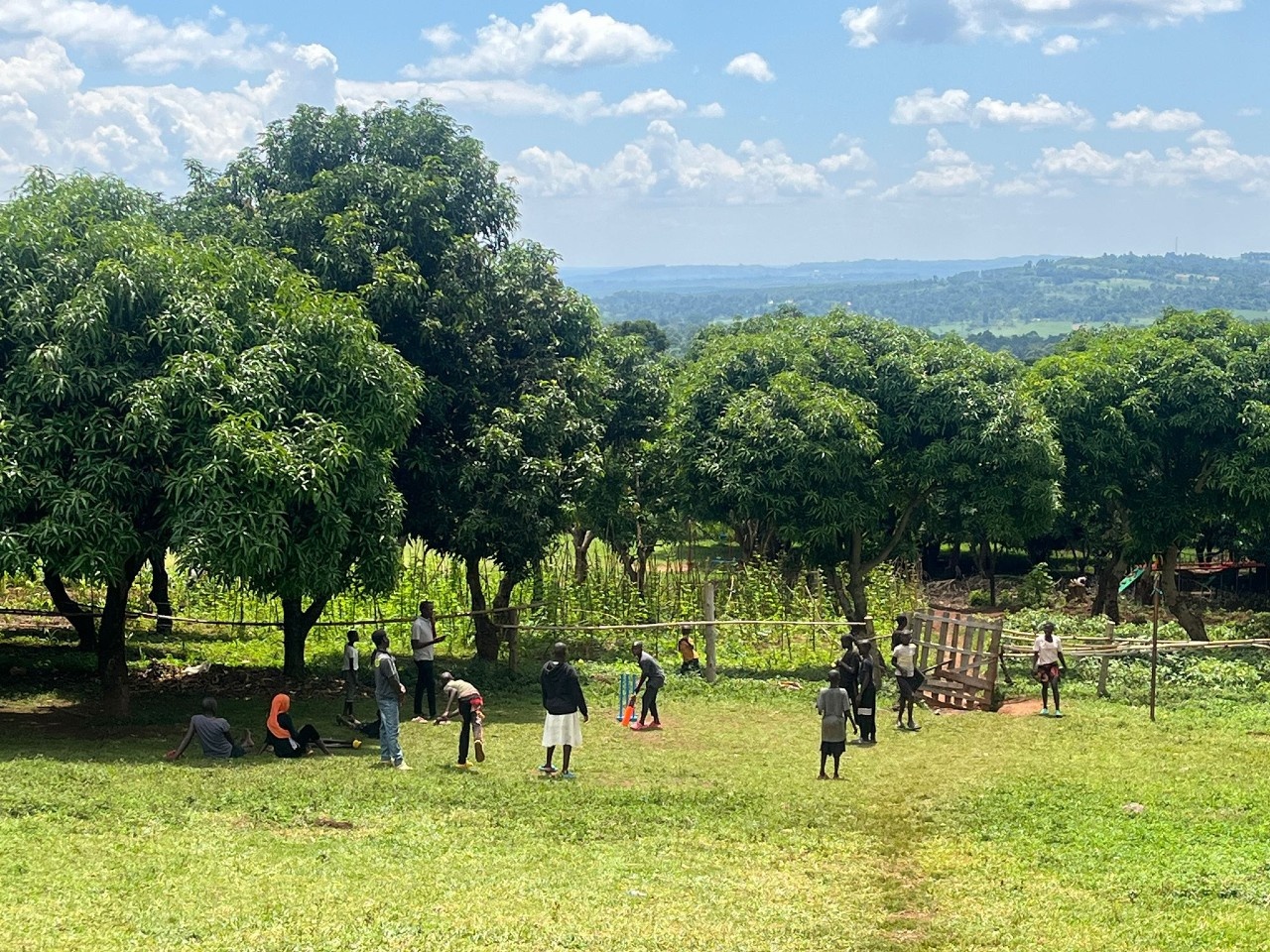 A landscape shot of children playing cricket against green trees and blue skies.